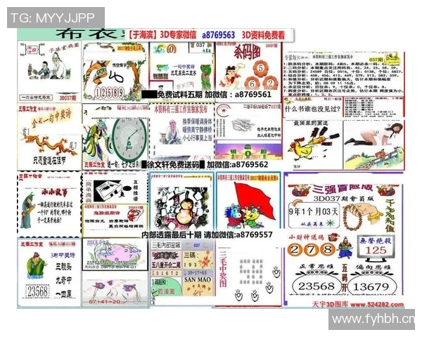 探索3D精华布衣的魅力与创新设计让时尚与舒适完美结合 探索3D精华布衣的魅力与创新设计让时尚与舒适完美结合